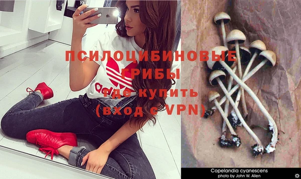 кокаин VHQ Нефтекумск